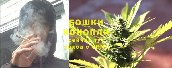 прущие крисы Вяземский