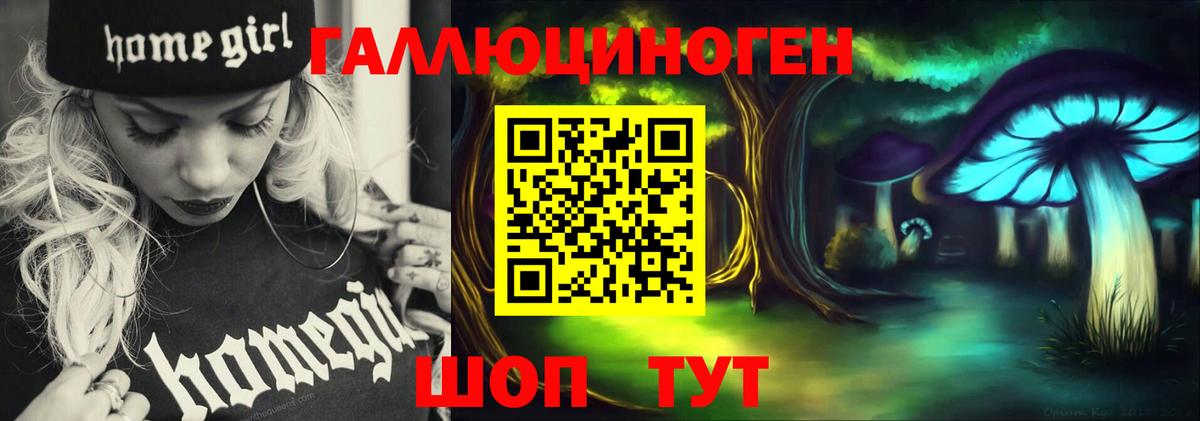 Галлюциногенные грибы Psilocybe Дальнереченск